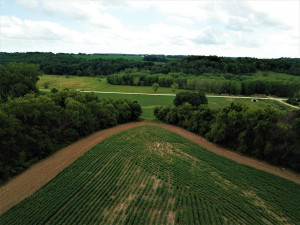 Photo for TBD24 County 117, Wykoff, MN 55990 - Listing #5625084 TBD24 County 117, Wykoff, MN 55990