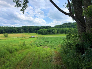 Photo for TBD24 County 117, Wykoff, MN 55990 - Listing #5625084 TBD24 County 117, Wykoff, MN 55990