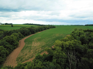 Photo for TBD24 County 117, Wykoff, MN 55990 - Listing #5625084 TBD24 County 117, Wykoff, MN 55990