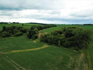 Photo for TBD24 County 117, Wykoff, MN 55990 - Listing #5625084 TBD24 County 117, Wykoff, MN 55990