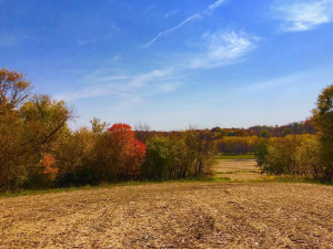 Photo for TBD24 County 117, Wykoff, MN 55990 - Listing #5625084 TBD24 County 117, Wykoff, MN 55990