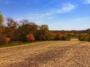 Photo for TBD24 County 117, Wykoff, MN 55990 - Listing #5625084 TBD24 County 117, Wykoff, MN 55990