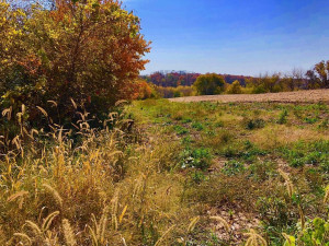 Photo for TBD24 County 117, Wykoff, MN 55990 - Listing #5625084 TBD24 County 117, Wykoff, MN 55990