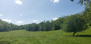 Photo for TBD CTY 11, Fountain, MN 55935 - Listing #5609418 TBD CTY 11, Fountain, MN 55935