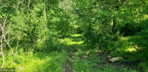 Photo for TBD CTY 11, Fountain, MN 55935 - Listing #5609418 TBD CTY 11, Fountain, MN 55935