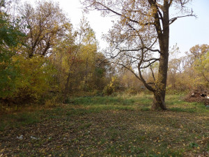 Photo for 86093 145th Street, Glenville, MN 56036 - Listing #5673251 86093 145th Street, Glenville, MN 56036