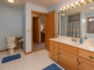 Photo for 2905 7th Avenue SW, Austin, MN 55912 - Listing #5674236 2905 7th Ave SW Austin MN-026-024-Master Bath-MLS_Size