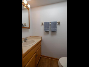 Photo for 2905 7th Avenue SW, Austin, MN 55912 - Listing #5674236 2905 7th Ave SW Austin MN-022-015-Bathroom-MLS_Size