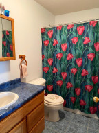 Photo for 605 Willers Court, Lake City, MN 55041 - Listing #5670273 605 Willers Court, Lake City, MN 55041