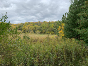 Photo for XXX Nolan Valley, Canton, MN 55922 - Listing #5666246 XXX Nolan Valley, Canton, MN 55922