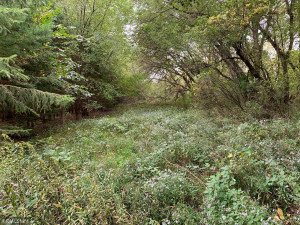 Photo for XXX Nolan Valley, Canton, MN 55922 - Listing #5666246 XXX Nolan Valley, Canton, MN 55922