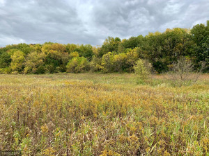 Photo for XXX Nolan Valley, Canton, MN 55922 - Listing #5666246 XXX Nolan Valley, Canton, MN 55922