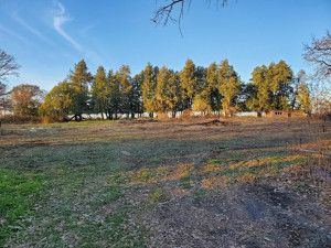 Photo for 32573 Ninebark Road, Chatfield, MN 55923 - Listing #5683680 32573 Ninebark Road, Chatfield, MN 55923