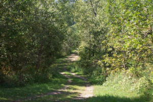 Photo for 502 River View Drive, Lanesboro, MN 55949 - Listing #5686338 502 River View Drive, Lanesboro, MN 55949