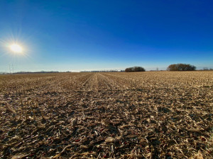 Photo for XXXX County 16 Road SE, Rochester, MN 55904 - Listing #5687354 XXXX County 16 Road SE, Rochester, MN 55904