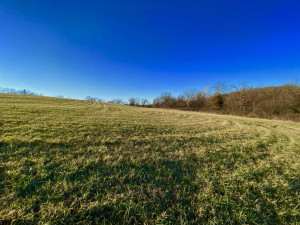 Photo for XXXX County 16 Road SE, Rochester, MN 55904 - Listing #5687354 XXXX County 16 Road SE, Rochester, MN 55904