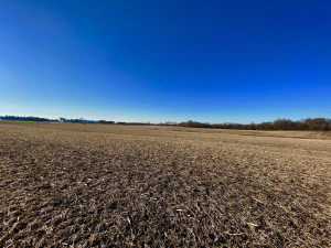 Photo for XXXX County 16 Road SE, Rochester, MN 55904 - Listing #5687354 XXXX County 16 Road SE, Rochester, MN 55904