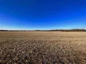 Photo for XXXX County 16 Road SE, Rochester, MN 55904 - Listing #5687354 XXXX County 16 Road SE, Rochester, MN 55904