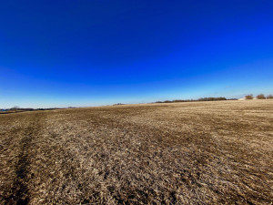 Photo for XXXX County 16 Road SE, Rochester, MN 55904 - Listing #5687354 XXXX County 16 Road SE, Rochester, MN 55904