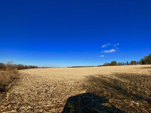 Photo for XXXX County 16 Road SE, Rochester, MN 55904 - Listing #5687354 XXXX County 16 Road SE, Rochester, MN 55904
