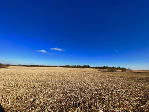 Photo for XXXX County 16 Road SE, Rochester, MN 55904 - Listing #5687354 XXXX County 16 Road SE, Rochester, MN 55904
