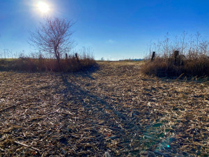 Photo for XXXX County 16 Road SE, Rochester, MN 55904 - Listing #5687354 XXXX County 16 Road SE, Rochester, MN 55904