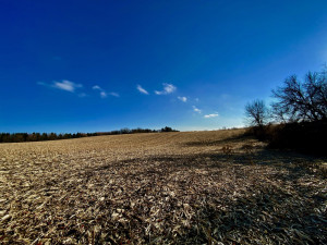 Photo for XXXX County 16 Road SE, Rochester, MN 55904 - Listing #5687354 XXXX County 16 Road SE, Rochester, MN 55904
