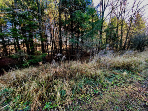 Photo for XXXX County 16 Road SE, Rochester, MN 55904 - Listing #5687354 XXXX County 16 Road SE, Rochester, MN 55904