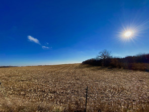 Photo for XXXX County 16 Road SE, Rochester, MN 55904 - Listing #5687354 XXXX County 16 Road SE, Rochester, MN 55904