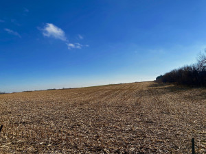 Photo for XXXX County 16 Road SE, Rochester, MN 55904 - Listing #5687354 XXXX County 16 Road SE, Rochester, MN 55904