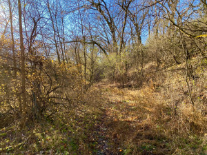Photo for XXXX County 16 Road SE, Rochester, MN 55904 - Listing #5687354 XXXX County 16 Road SE, Rochester, MN 55904