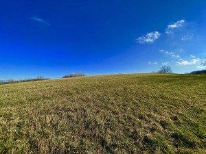 Photo for XXXX County 16 Road SE, Rochester, MN 55904 - Listing #5687354 XXXX County 16 Road SE, Rochester, MN 55904