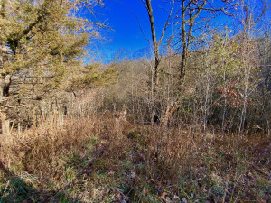 Photo for XXXX County 16 Road SE, Rochester, MN 55904 - Listing #5687354 XXXX County 16 Road SE, Rochester, MN 55904