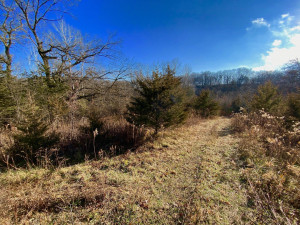 Photo for XXXX County 16 Road SE, Rochester, MN 55904 - Listing #5687354 XXXX County 16 Road SE, Rochester, MN 55904