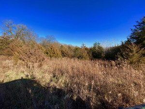 Photo for XXXX County 16 Road SE, Rochester, MN 55904 - Listing #5687354 XXXX County 16 Road SE, Rochester, MN 55904