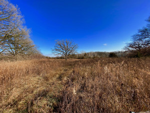 Photo for XXXX County 16 Road SE, Rochester, MN 55904 - Listing #5687354 XXXX County 16 Road SE, Rochester, MN 55904