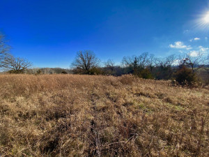 Photo for XXXX County 16 Road SE, Rochester, MN 55904 - Listing #5687354 XXXX County 16 Road SE, Rochester, MN 55904