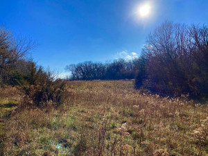 Photo for XXXX County 16 Road SE, Rochester, MN 55904 - Listing #5687354 XXXX County 16 Road SE, Rochester, MN 55904