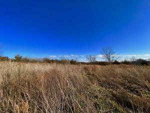 Photo for XXXX County 16 Road SE, Rochester, MN 55904 - Listing #5687354 XXXX County 16 Road SE, Rochester, MN 55904