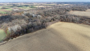 Photo for XXXX County 16 Road SE, Rochester, MN 55904 - Listing #5687354 XXXX County 16 Road SE, Rochester, MN 55904