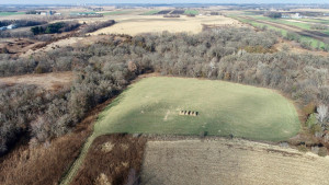 Photo for XXXX County 16 Road SE, Rochester, MN 55904 - Listing #5687354 XXXX County 16 Road SE, Rochester, MN 55904