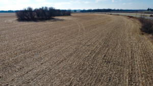 Photo for XXXX County 16 Road SE, Rochester, MN 55904 - Listing #5687354 XXXX County 16 Road SE, Rochester, MN 55904