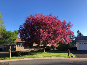 Photo for 11880 97th Avenue N, Maple Grove, MN 55369 - Listing #5686460 11880 97th Avenue N, Maple Grove, MN 55369