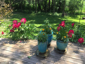 Photo for 6801 Utica Terrace, Chanhassen, MN 55317 - Listing #5684347 6801 Utica Terrace, Chanhassen, MN 55317