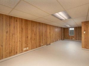 Photo for 101 20th Street SE, Austin, MN 55912 - Listing #5688210 101 20th St SE Austin MN 55912-020-012-Family Room-MLS_Size