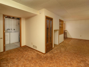 Photo for 609 Parkway Avenue S, Lanesboro, MN 55949 - Listing #5688338 609 Parkway Ave S Lanesboro MN-026-027-Lower Level-MLS_Size