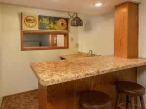 Photo for 609 Parkway Avenue S, Lanesboro, MN 55949 - Listing #5688338 609 Parkway Ave S Lanesboro MN-025-026-Lower Level-MLS_Size