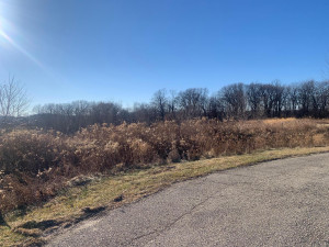 Photo for XXX 714th Street, Lake City, MN 55041 - Listing #5691864 XXX 714th Street, Lake City, MN 55041