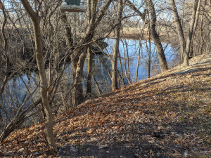 Photo for 1202 4th Street SE, Austin, MN 55912 - Listing #5690782 1202 4th Street SE, Austin, MN 55912