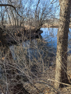 Photo for 1202 4th Street SE, Austin, MN 55912 - Listing #5690782 1202 4th Street SE, Austin, MN 55912